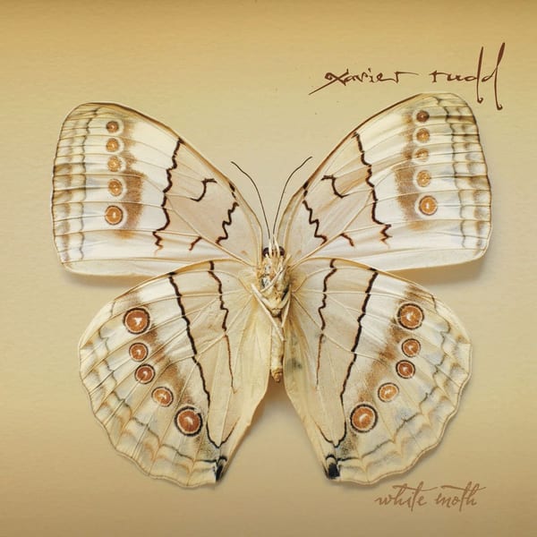 White Moth cover