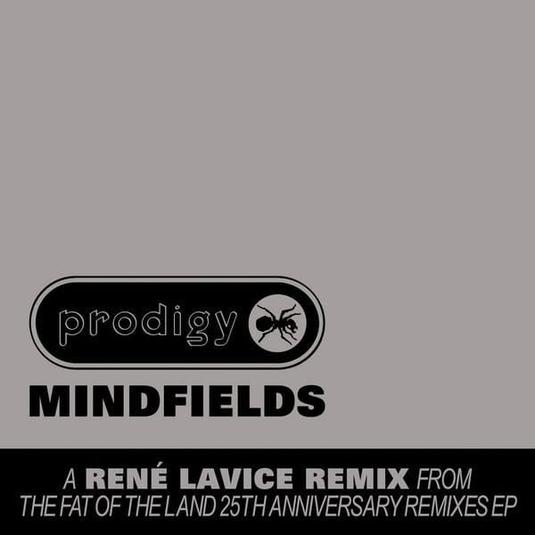 Mindfields (René LaVice Remix) cover