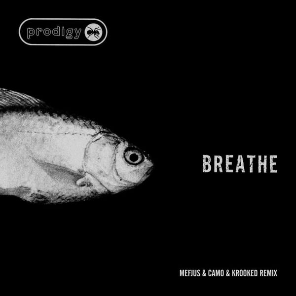 Breathe (Mefjus & Camo & Krooked Remix) cover