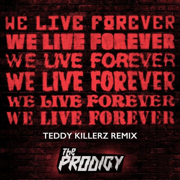 We Live Forever (Teddy Killerz Remix) cover