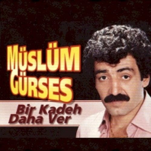 Bir Kadeh Daha Ver cover