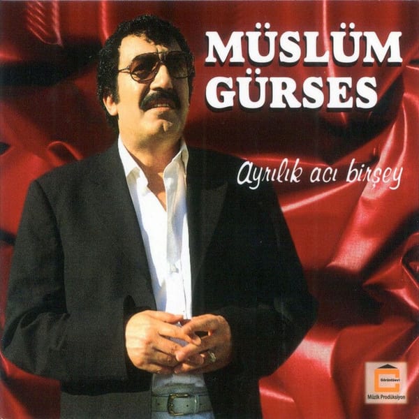Ayrılık Acı Bir Şey cover