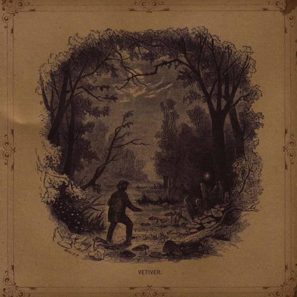 Vetiver cover