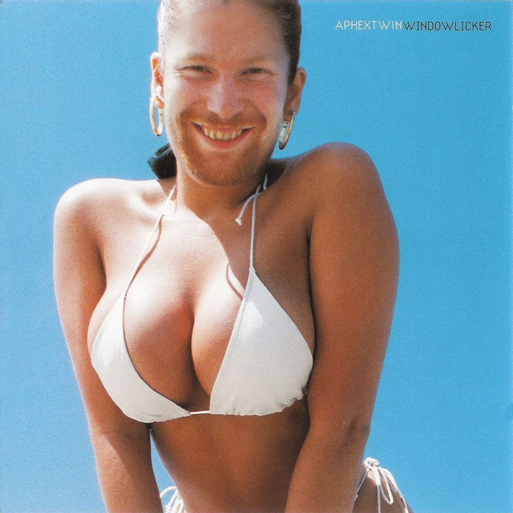 Windowlicker cover