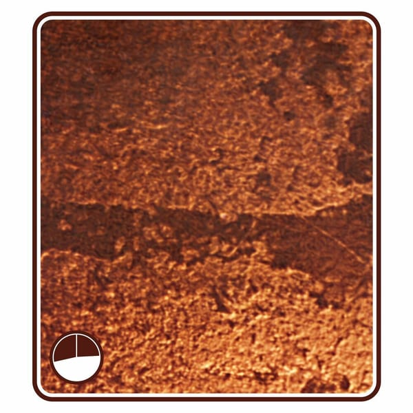 th1 [evnslower] cover