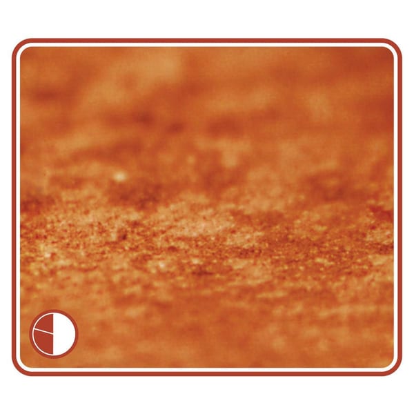 #19 cover