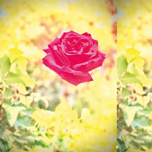 Trip cover