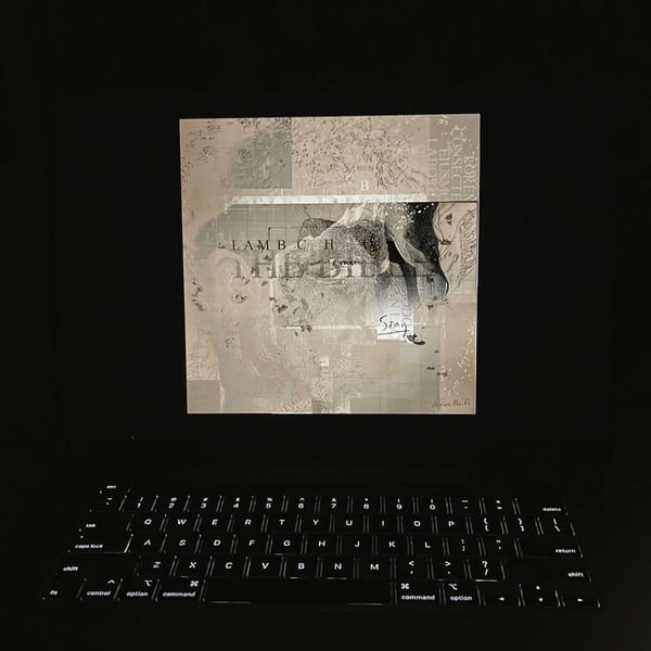 The Bible cover