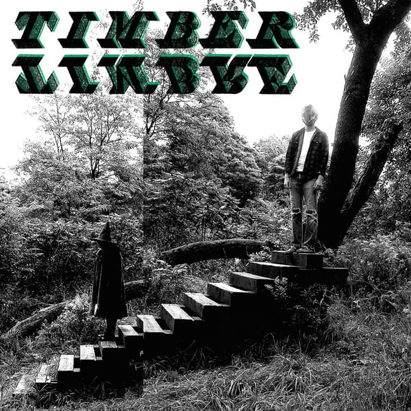 Timber Timbre cover