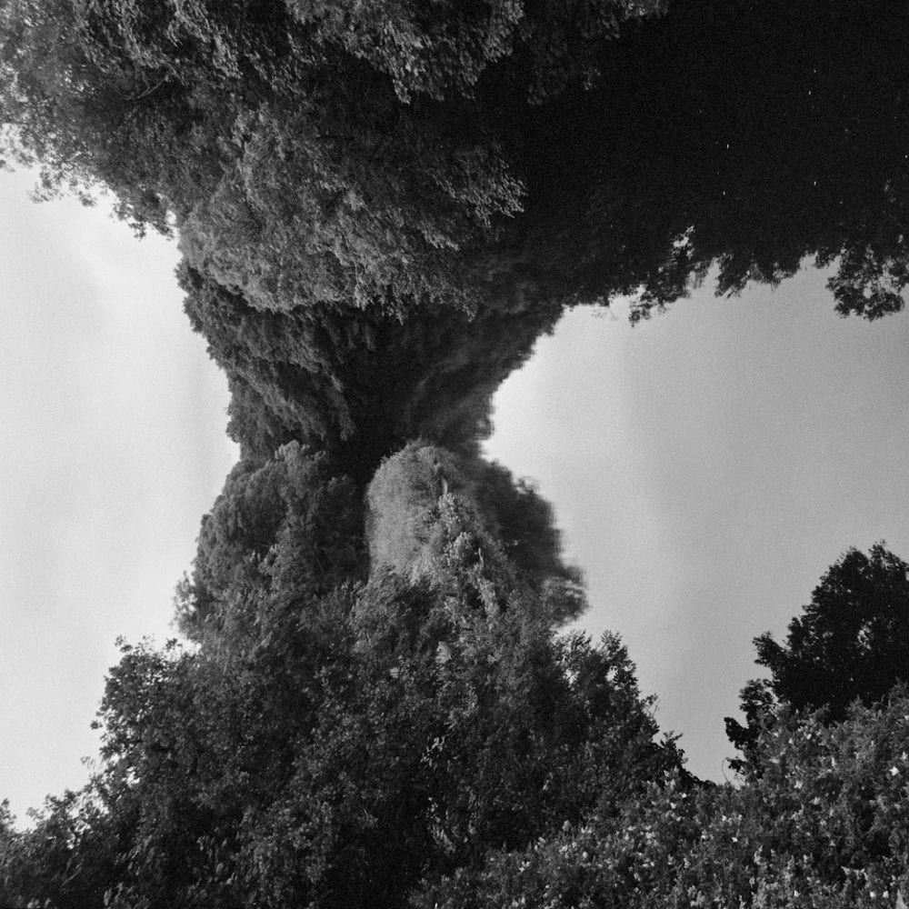 Planet cover