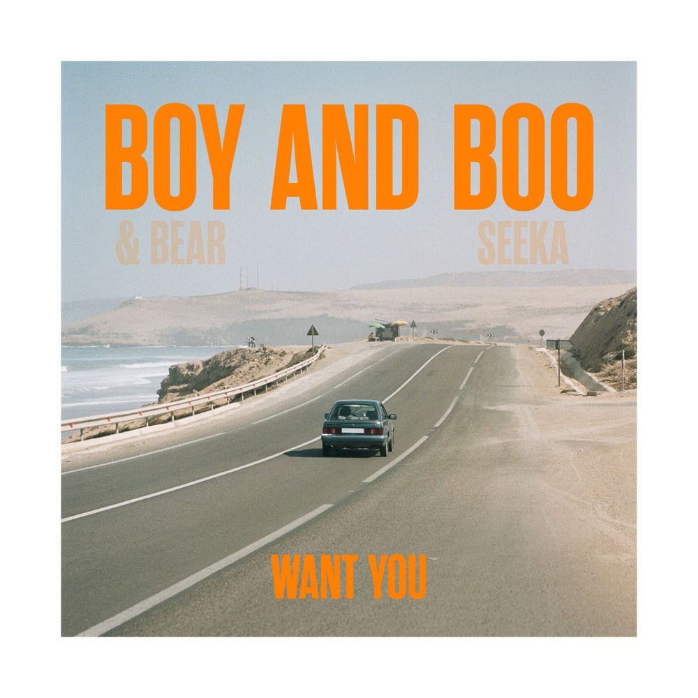 Want You cover