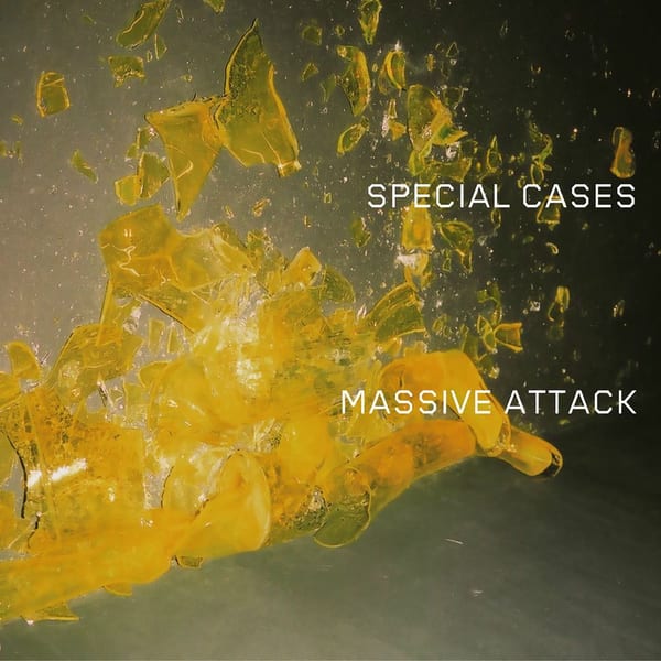 Special Cases cover