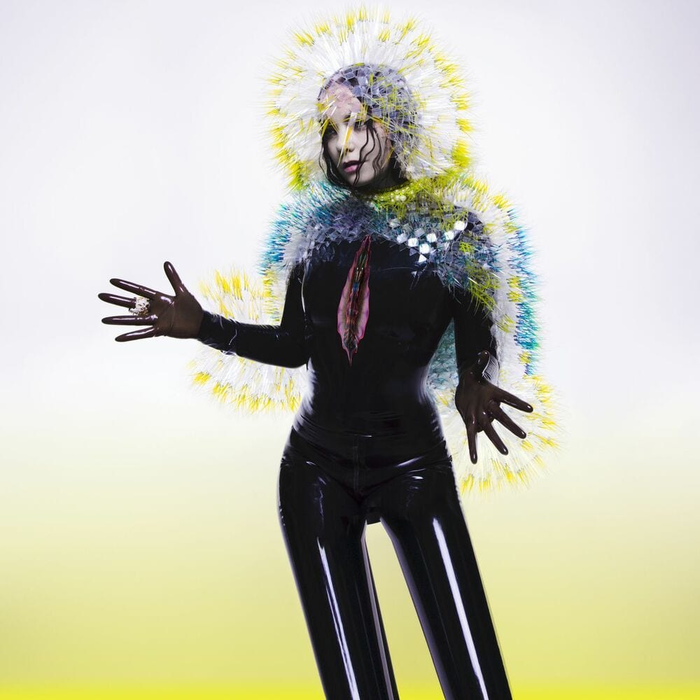 Vulnicura cover