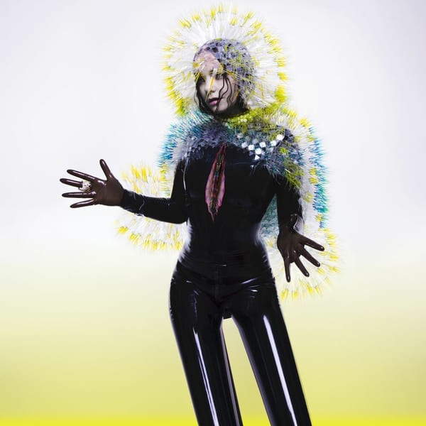 Vulnicura cover
