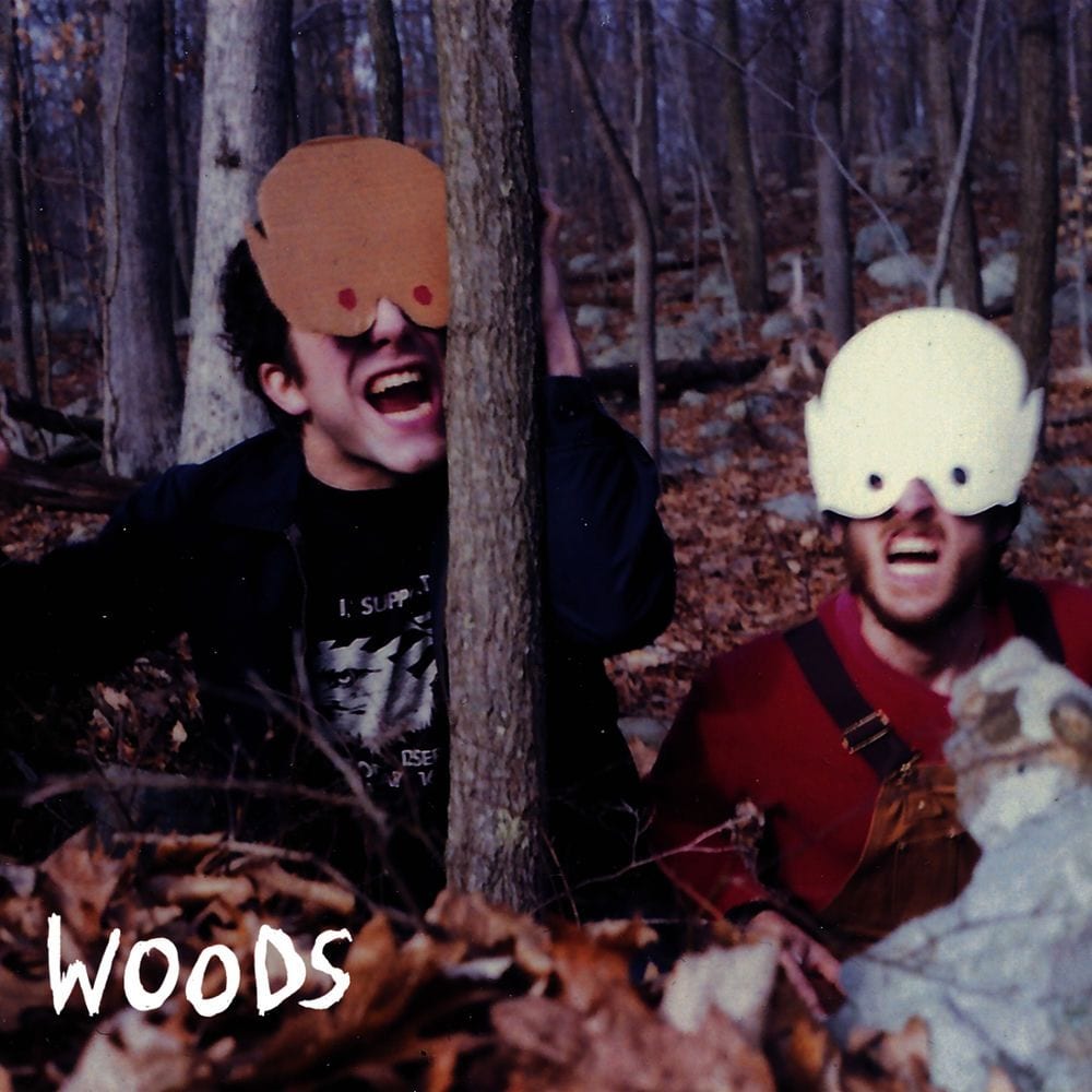 How to Survive In/In the Woods cover
