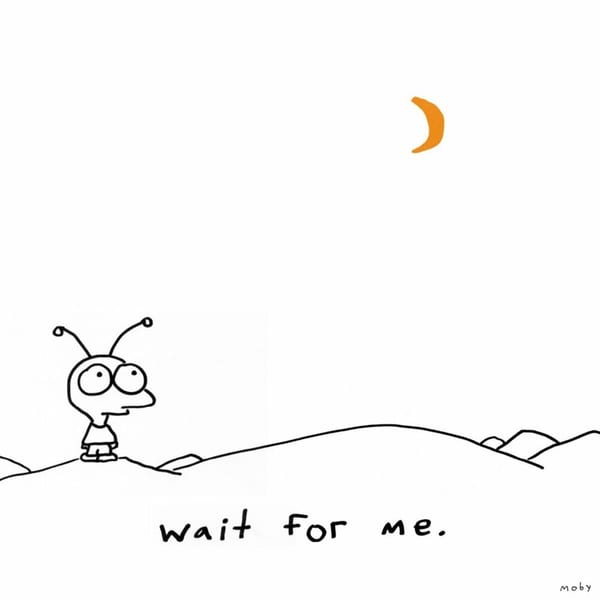 Wait for Me album cover