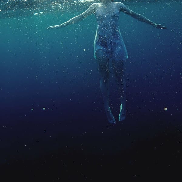 The Shark in Your Water cover