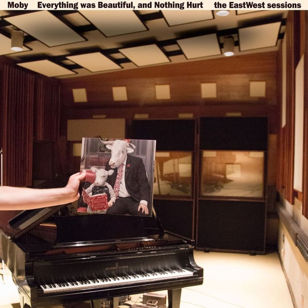 Everything Was Beautiful, and Nothing Hurt (The Eastwest Sessions) cover