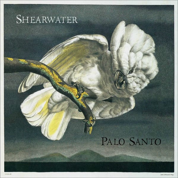 Palo Santo cover