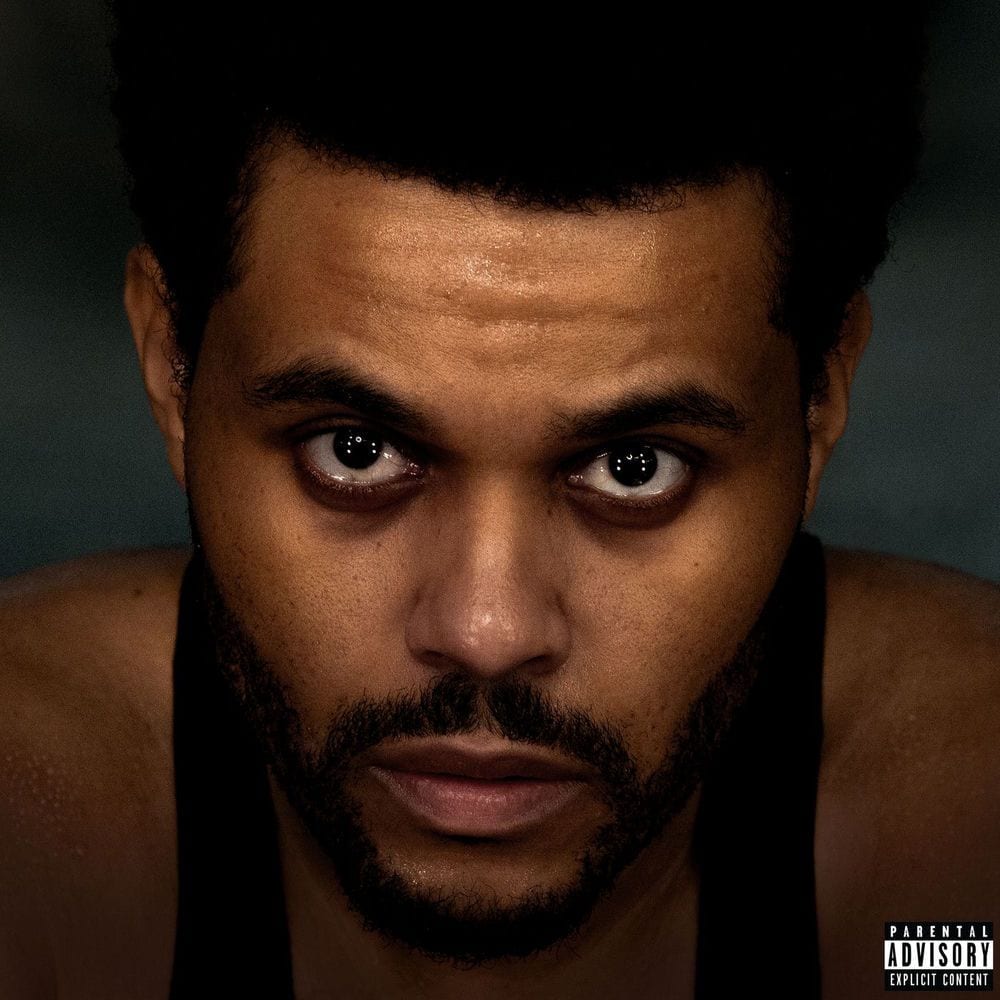 Enjoy The Show (Single Version) cover