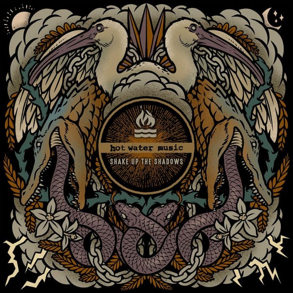 Shake Up The Shadows cover
