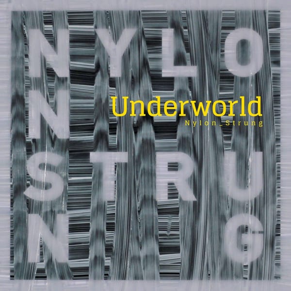 Nylon Strung (Eagles & Butterflies Remix) album cover