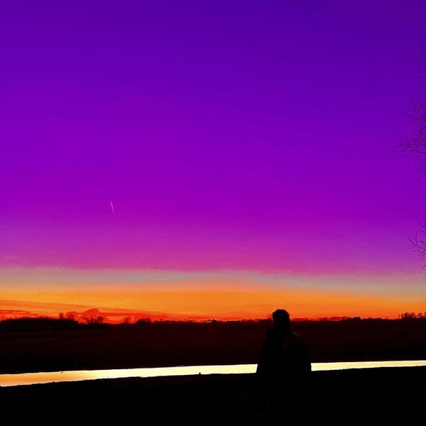 Fen Violet album cover