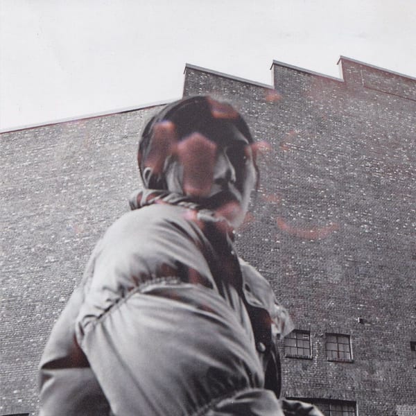 Passion Babe by Aldous Harding
