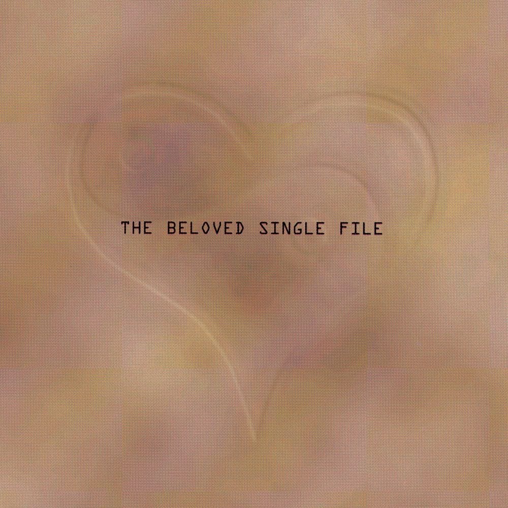 Single File cover
