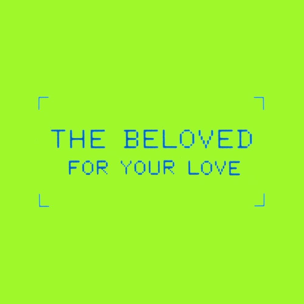 For Your Love (Age Of Insanity Remixes) cover