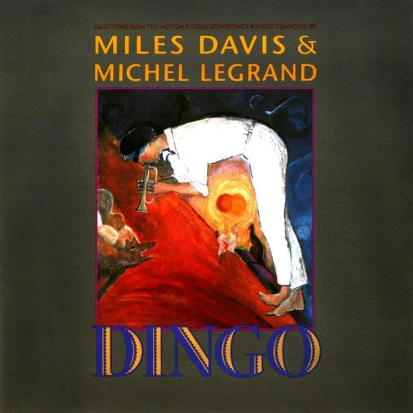 Dingo cover