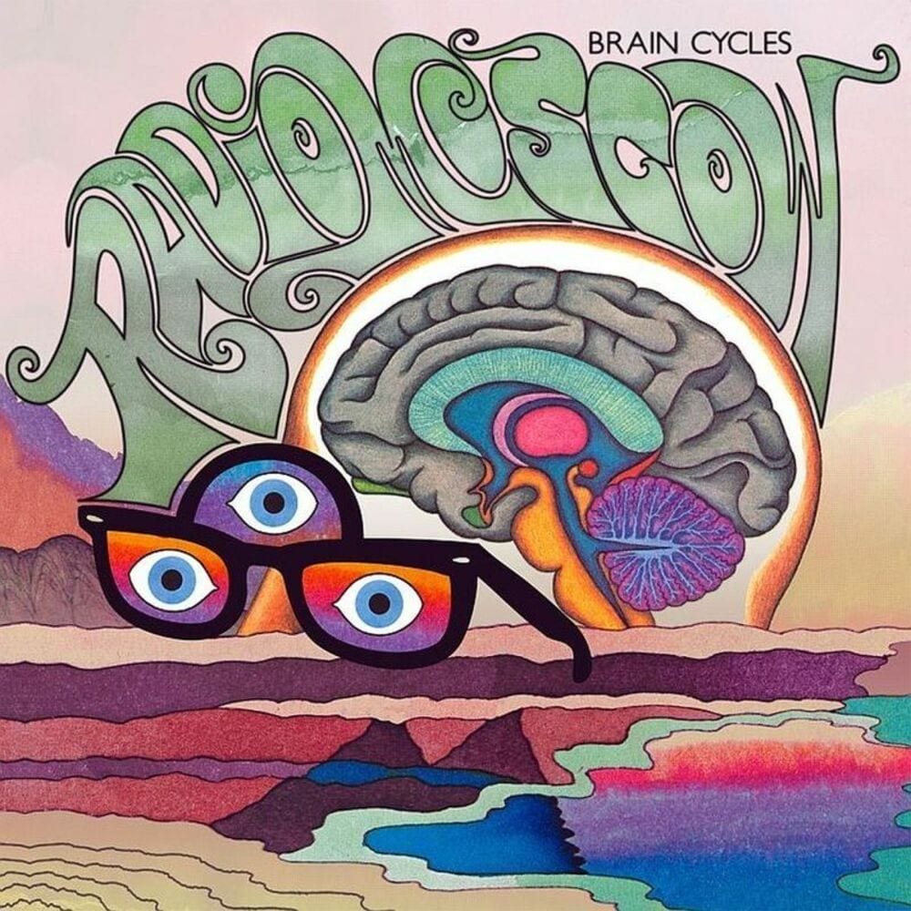 Brain Cycles cover