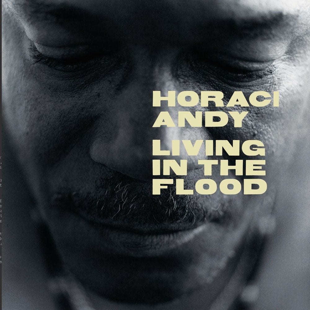 Living in the Flood cover