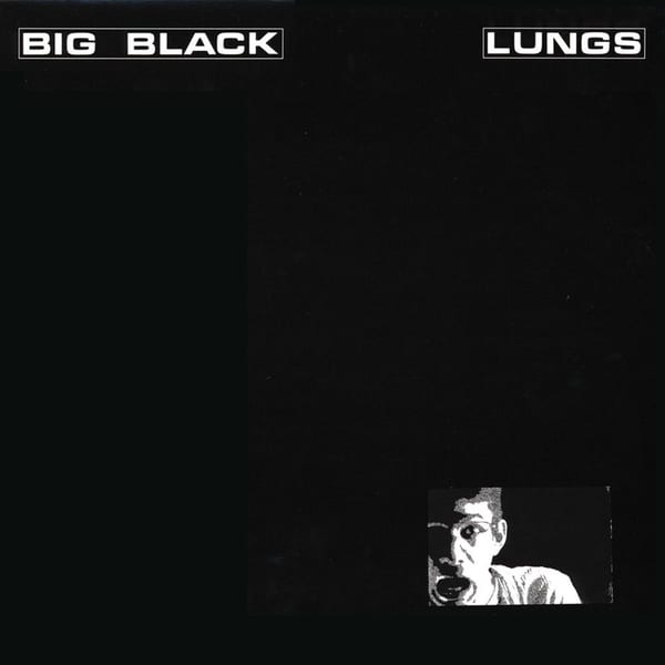 Lungs cover