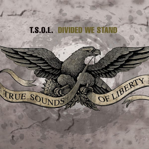 Divided We Stand cover