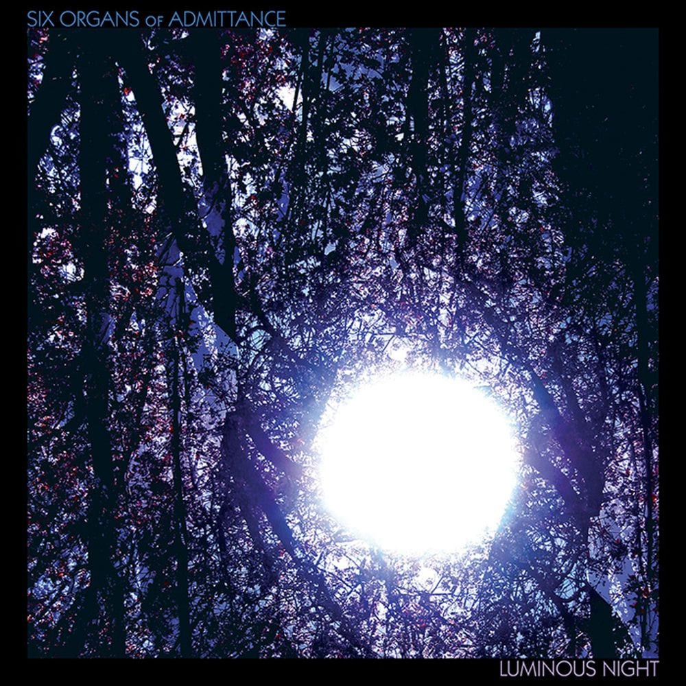 Luminous Night cover