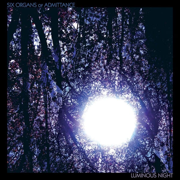 Luminous Night cover