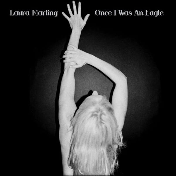 Once I Was an Eagle cover