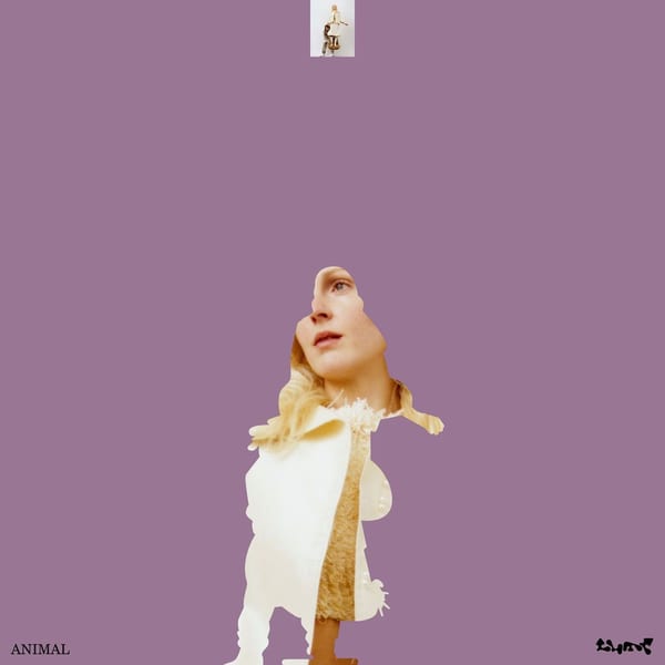 Animal cover