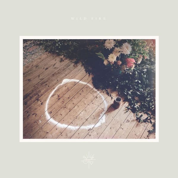 Wild Fire cover