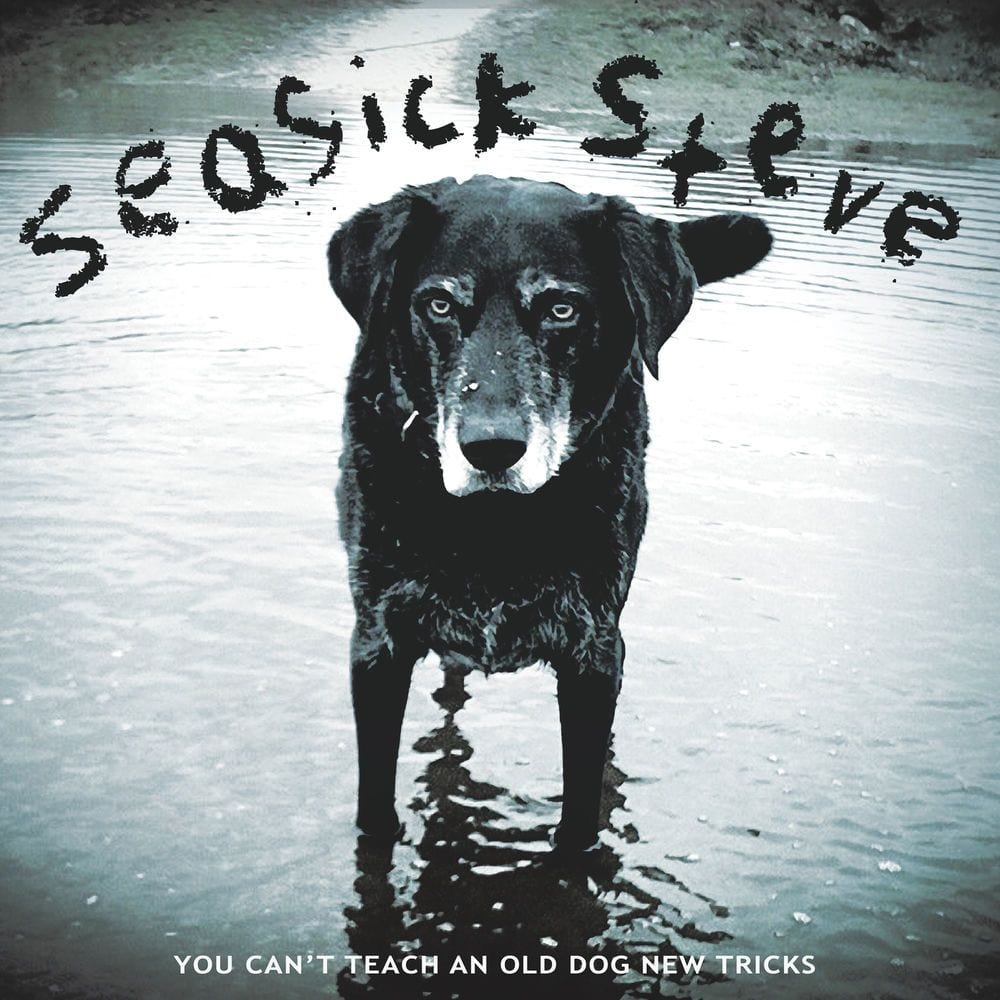 You Can't Teach an Old Dog New Tricks cover