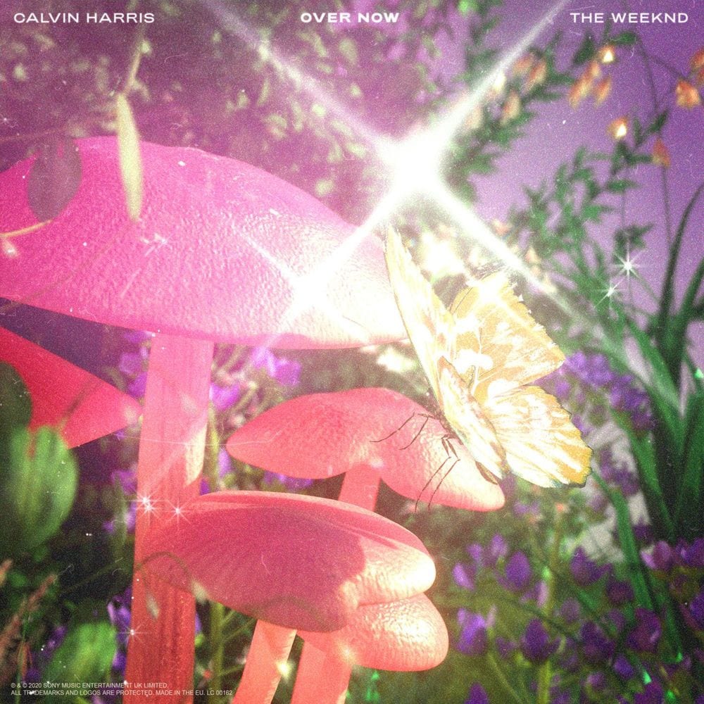Over Now cover