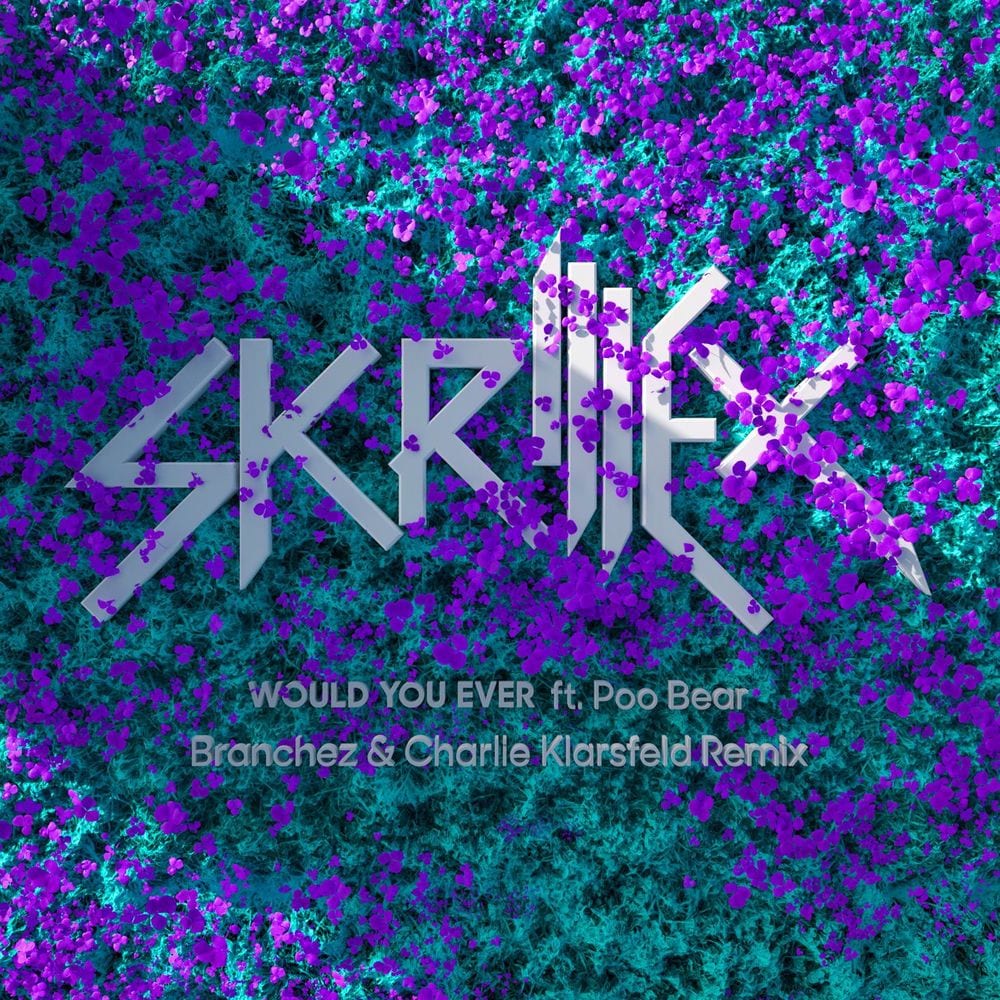 Would You Ever (Branchez & Charlie Klarsfeld Remix) cover