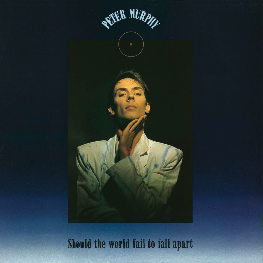 Should the World Fail to Fall Apart cover