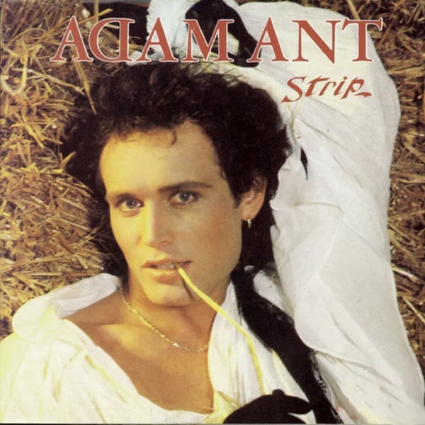 Strip cover
