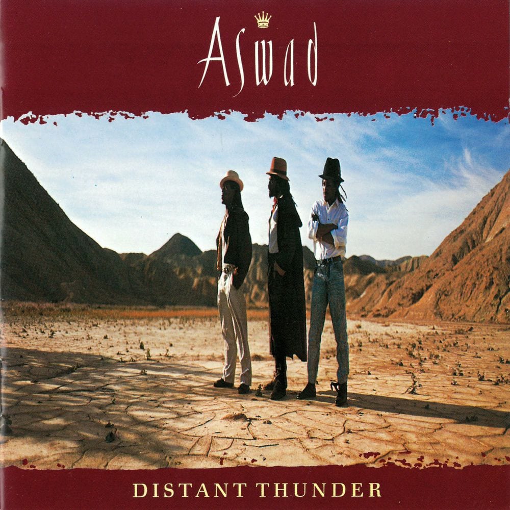 Distant Thunder cover