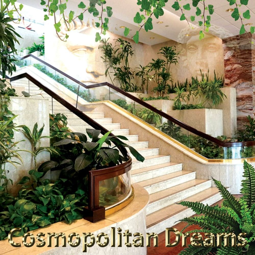 Cosmopolitan Dreams
