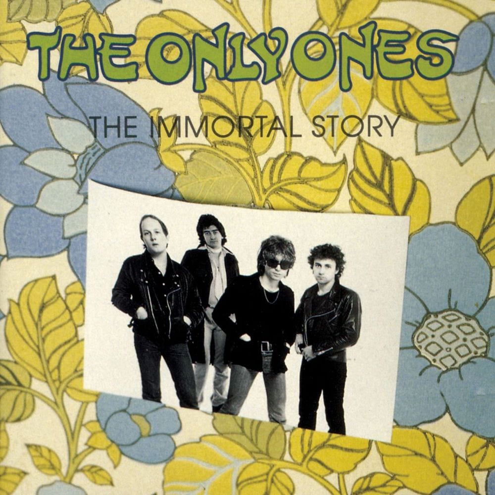 The Immortal Story cover