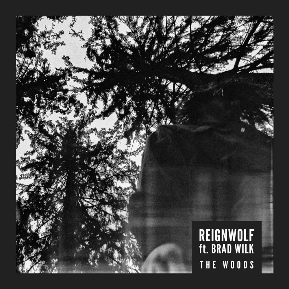 The Woods cover