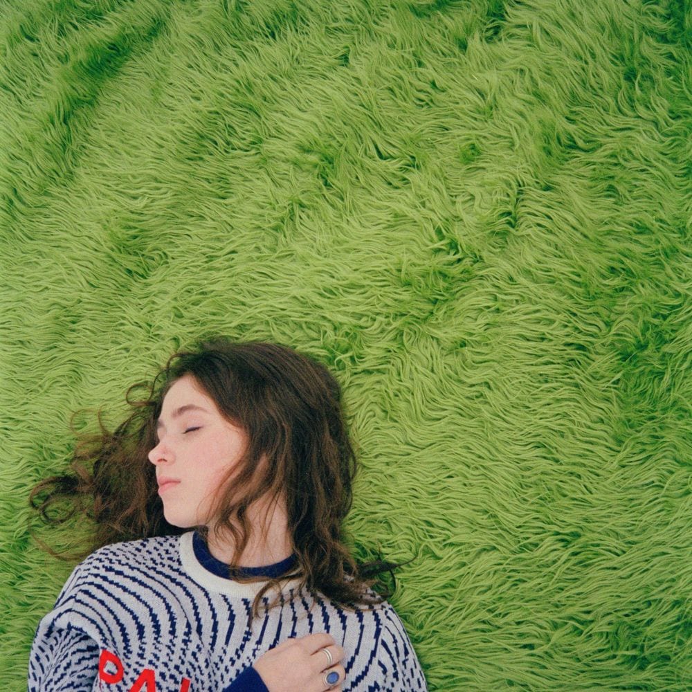 diary 001 cover